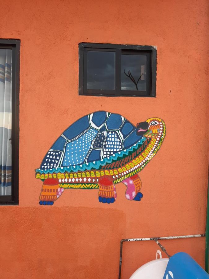 Hotel Casa Xochimilco Oaxaca Exteriér fotografie